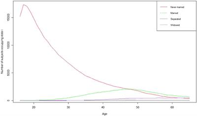 Discrete Survival Time Constructions for Studying Marital Formation and Dissolution in Rural South Africa